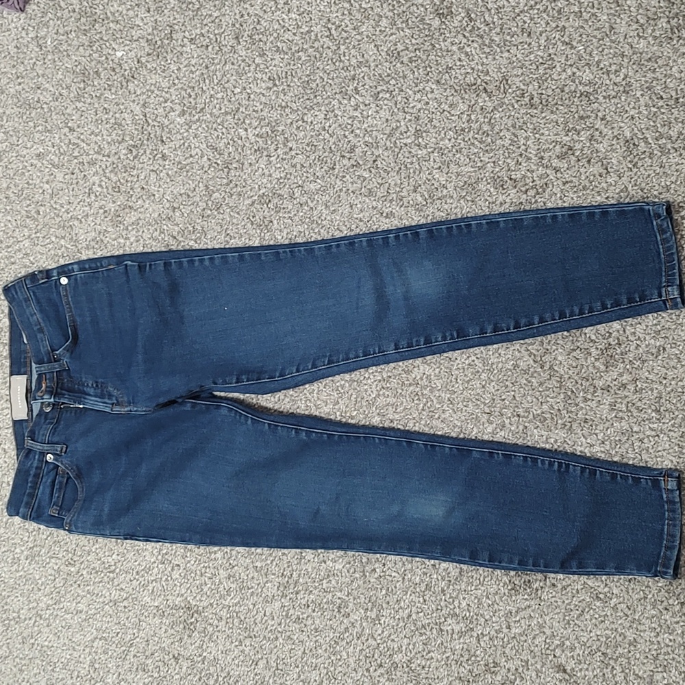 Everlane Skinny Jeans